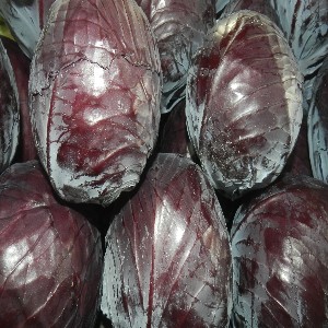 Purple Cabbage