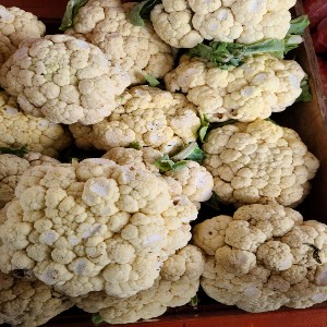 Cauliflower