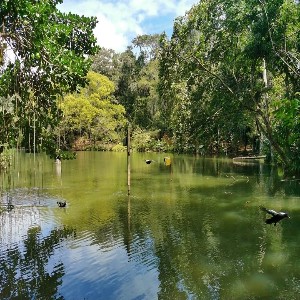 Pointe-à-Pierre Wildfowl Trust