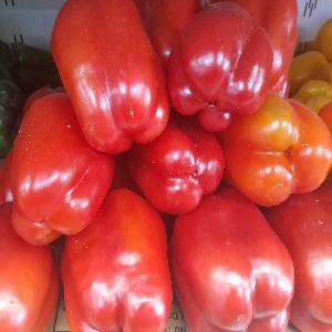 Sweet Pepper 