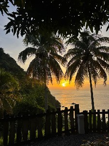 Tobago Nature &amp;amp;amp;amp;amp; Culture Half-Day Tour