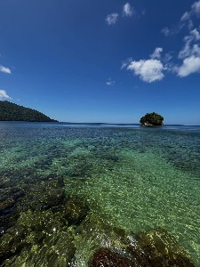 Charlotteville Coastal Adventure