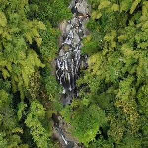 Gilpin Trace Forest Hike