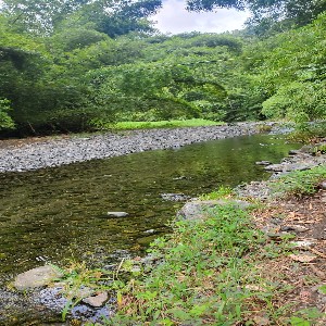 Rainforest River Hike and Waterfall