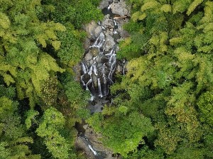 Exclusive Rainforest Experience (Group 5–10 People)