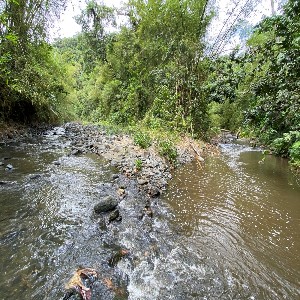 Rainforest River Hike and Waterfall Adventure