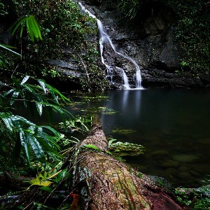 Gilpin Trace Adventure