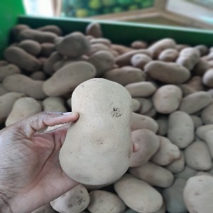 Irish Potatoes