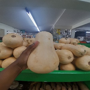 Butternut Squash