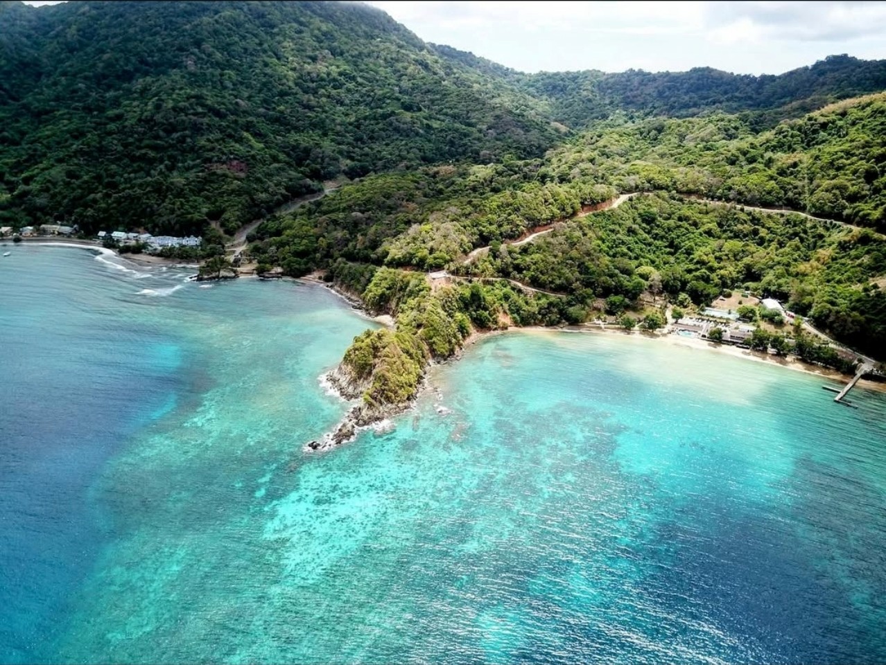 Little Tobago Excursion