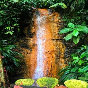 Basic Rainforest Tour Package