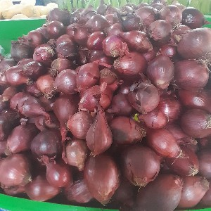 Red Onion
