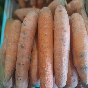 Carrots