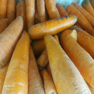 Carrots